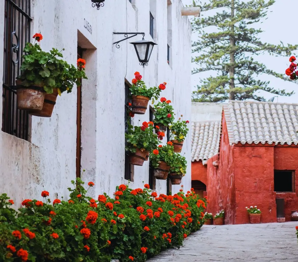 Monasterio de Santa Catalina